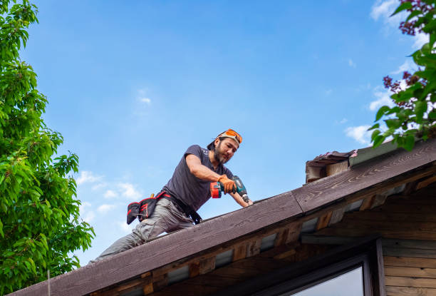 Roof Moss and Algae Removal in Wabasso Beach, FL