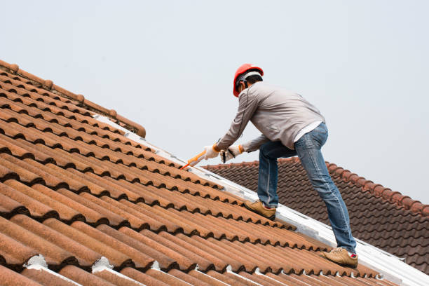 Best Roof Leak Repair  in Wabasso Beach, FL